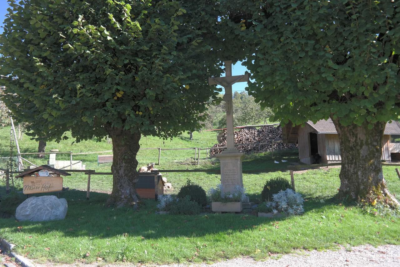 Maierhof Villa Oberried  Exteriör bild